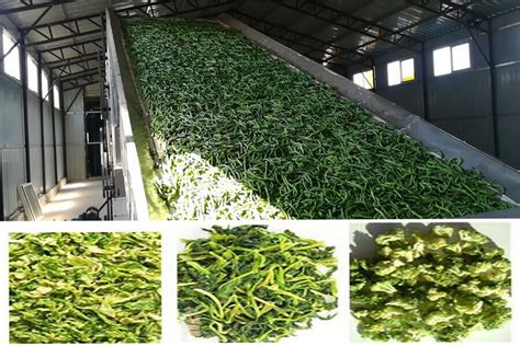 vegetable drying equipment|Industrial Food Drying .